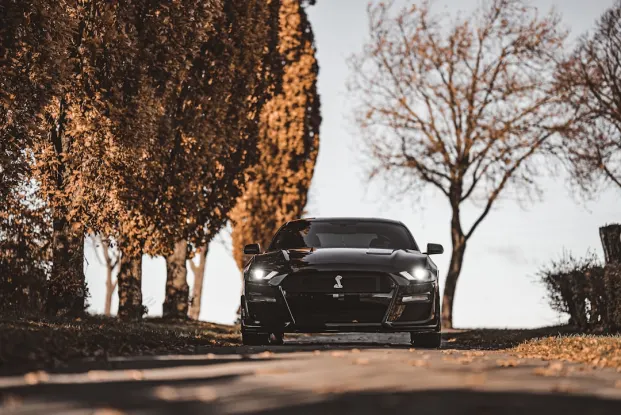 HippoZino Casino Android/iOS-app